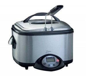 Deni Multi Fryer
