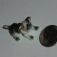 collectable items