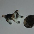 Tiny little dog glass