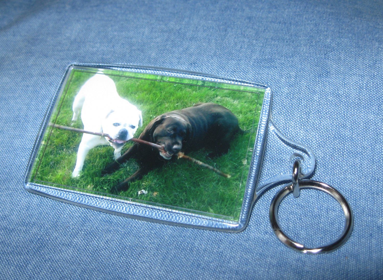 Personalized Pet Photo Key Chain, Bag Tag, Large 2x3 Keychain, ID Tag, Handmade Using Your Photos