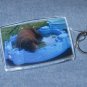 Personalized Pet Photo Key Chain, Bag Tag, Large 2x3 Keychain, ID Tag, Handmade Using Your Photos
