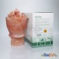 New Premium Quality Himalayan Rock Salt Lamps Firebowl-1 Shape 10~12Lbs