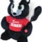 Smellvin Skunk sings
