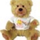 Noah Bear Collection: Friend Bear