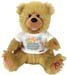 Noah Bear Collection: Missing You