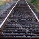 TRACKS TO NOWHERE-Photographic Art-Rail Road-Scenic-Decor-Wall Hanging-Train