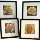 Rose Art Prints Set of 4