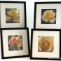 Rose Art Prints Set of 4