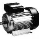 IEC Standard Motor