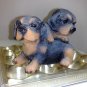 Dog Twins Coinbank