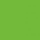 Chroma key Green Screen Muslin 10 X 12