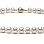 16" AA+ Quality 8 to 9mm FreshWater Pearl Necklace