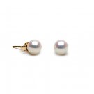 Elite Grade 6 to 7mm FreshWater Pearl Earings