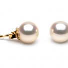 Elite Grade 8 to 9mm FreshWater Pearl Earings