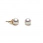 AAA Grade 6 to 7mm FreshWater Pearl Earings