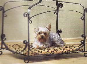 ROYAL SPLENDOR PET BED