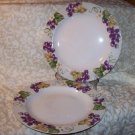 Laura Ashley GRAPEFIELDS (2) Dinner Plates