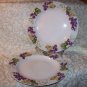 Laura Ashley GRAPEFIELDS (2) Dinner Plates