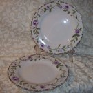 Laura Ashley GRAPEFIELDS (2) Salad Plates