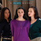 Ambition [A Private Novel]