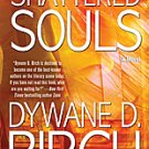 Shattered Souls