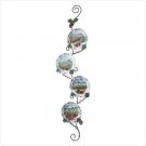 VINEYARD PLACES WITH GRAPEVINE DISPLAY