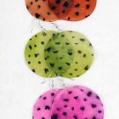 Earrings Jumbo Shell With Dots2.5''/DZ ** New Arrival** Pink Red Brown Green White Blue 6 Color Asst