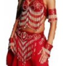 5 Piece Belly Dancer Costume with Two Tone Beaded Fringe