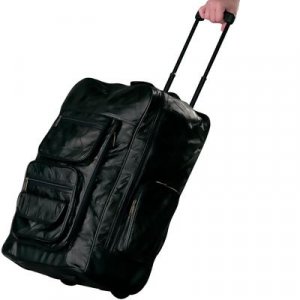 Deluxe Backpack/Rolling Cart