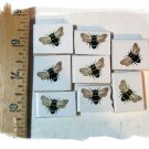 8 Mosaic Tiles ~Unique~*BUMBLE BEE FOCALS*~