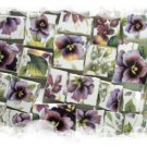 Gorgeous Purple ~VIOLET CHINTZ~  50+ Mosaic Tiles