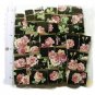*Elegant **ROSES ON BLACK* * 50+  Mosaic Tiles