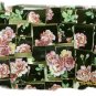 *Elegant **ROSES ON BLACK* * 50+ Mosaic Tiles