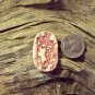 Pottery Ceramic Connecting Bead *~WILD HAIR LADY~* Bead