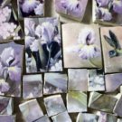 Mosaic Tiles ~Hummingbird & IRIS Chintz~ 50+ HM Kiln