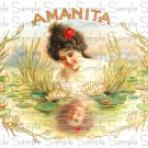 Vintage Amanita Cigar Box Art Printable Digital Ephemera Scrapbooking Altered Art