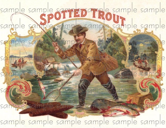 Spotted Trout Vintage Digital Cigar Box Art Ephemera Scrapbooking Altered Art Decoupage