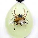 Real Insect Bug Luminous Amber Necklace Pendant Spider
