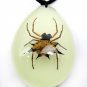 Real Insect Bug Luminous Amber Necklace Pendant Spider