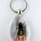 Real Insect Bug Amber Lucite Key Chain Keyring Wasp