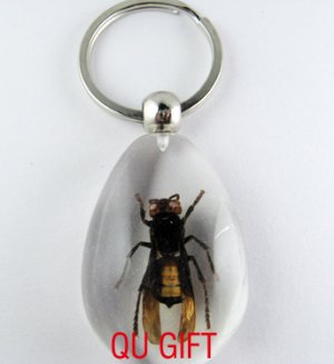 Real Insect Bug Amber Lucite Key Chain Keyring Wasp