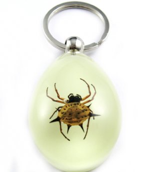 Real Insect Bug Amber Lucite Key Chain Gold Beetle