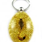 Gold Real Insect Bug Amber Lucite Key Chain Scorpio