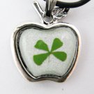 Real Four 4 Leaf Clover Charm Necklace Pendant Apple