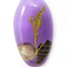 Amber Real Seashell Necklace Pendant Bead Multi-color NO.2