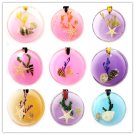 Wholesale Lot 6 Round Amber Real Seashell Necklace Pendant