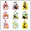 Wholesale Lot 5 Amber Real Seashell Necklace Pendant Multi-color