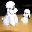 Paint - your - own clay poodle