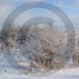 Cold Blue Snow Morning - 11005 - 11x17 Framed Photo