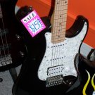 ELECTRIC SEMI PRO 3 PICKUP